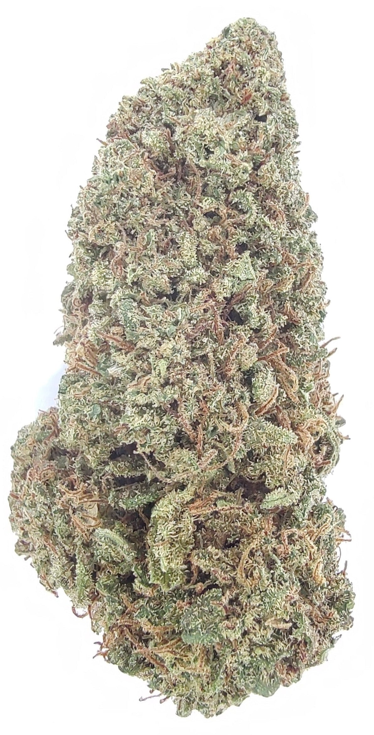 Sungrown Type III