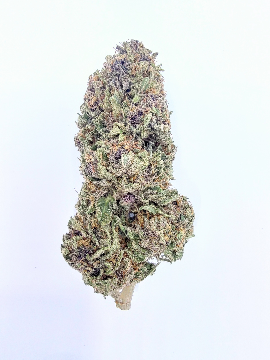 Greenhouse Type I Flower