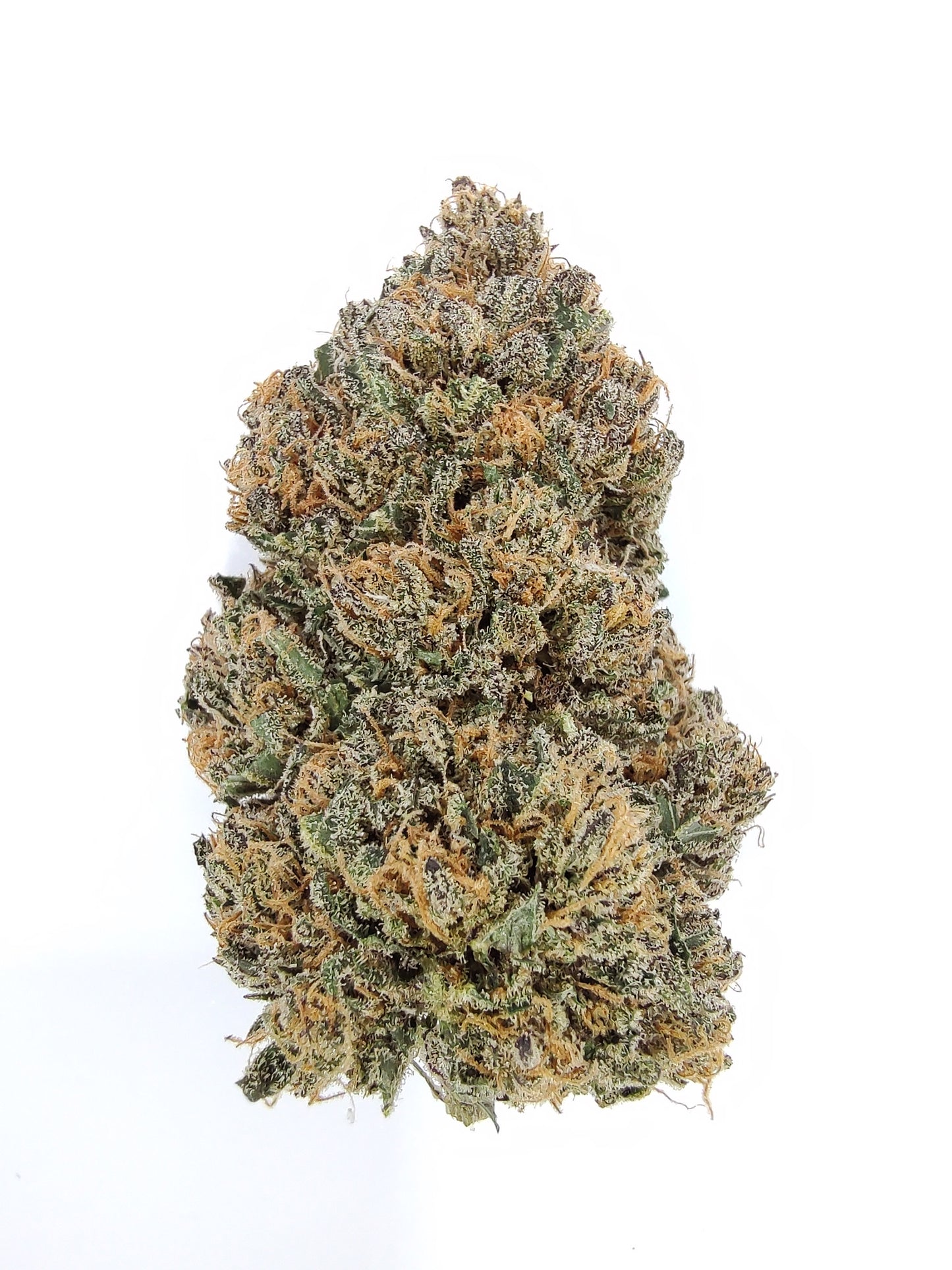 Original Zombie Kush F3: Garlic Gangster