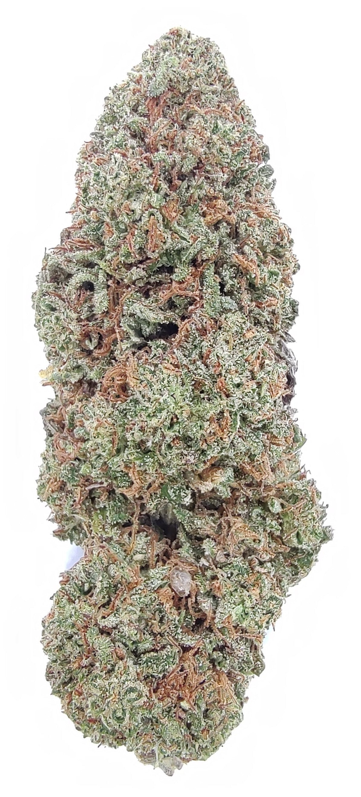 Rasberry Bear Claw