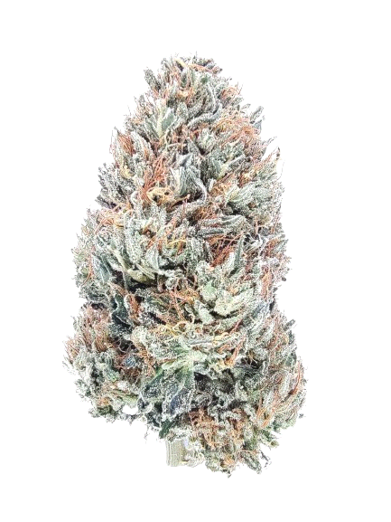 Original Zombie Kush Bx Green Gangster