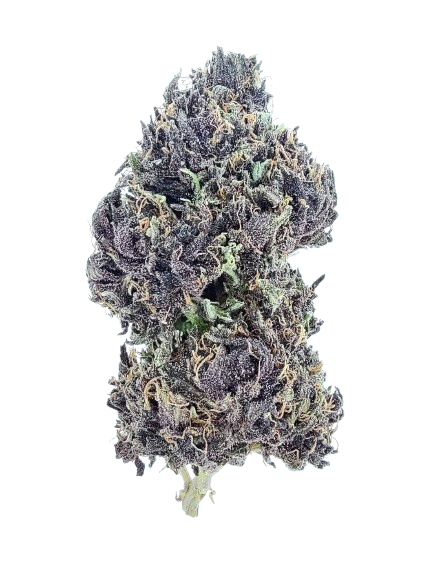 Purple Dream