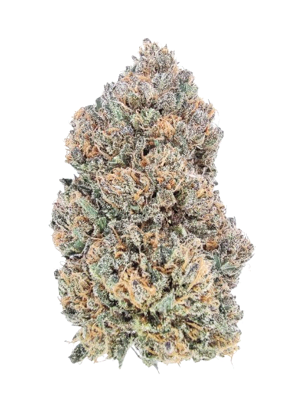 Original Zombie Kush F3: Garlic Gangster