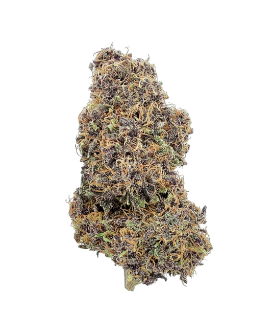 Orange Fritter: OG Fritter Edition