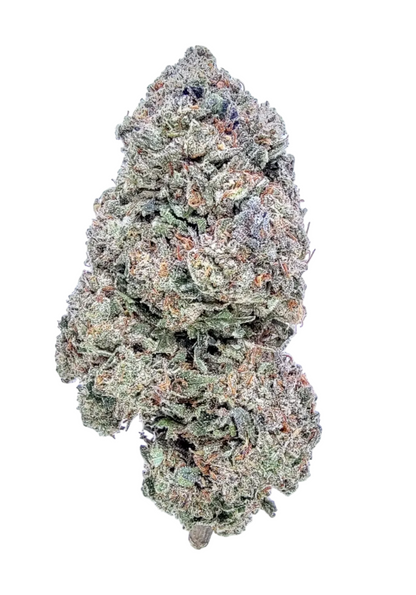 Adio's Motherfu*cker